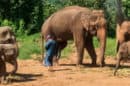 Happy Elephant Care