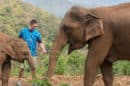 Patara Elephant Farm