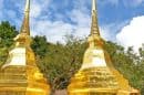 Wat Phra That Doi Tung