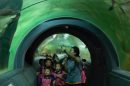 Chiang Mai Zoo Aquarium