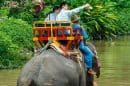 Thai Elephant Conservation Centre