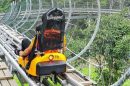 Pongyang Jungle Coaster & Zipline